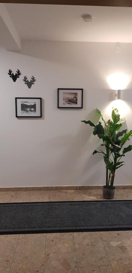 Apartment Edelweiss زيل أم سي المظهر الخارجي الصورة
