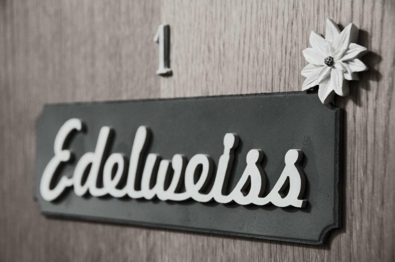 Apartment Edelweiss زيل أم سي المظهر الخارجي الصورة